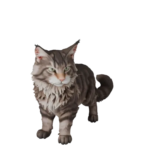 Modelo 3D de Maine Coon de caricatura, render de vida silvestre en vista lateral, activo de animal estilizado con anatomía cl