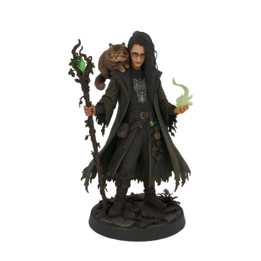 Mystic Sorcerer with Familiar Cat