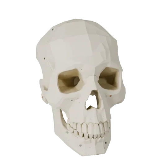 Spine Skull Low Poly 3D model, game viewport three-quarter view, showing bone surfaces, skeletal landmarks.