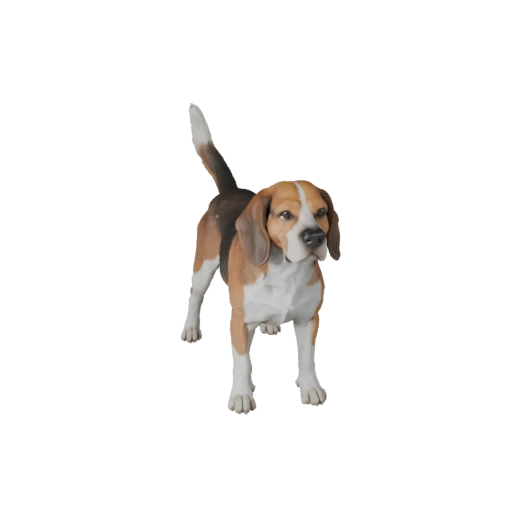 Chien Beagle Réaliste Modèle 3D - Asset PBR Riggué pour Jeux