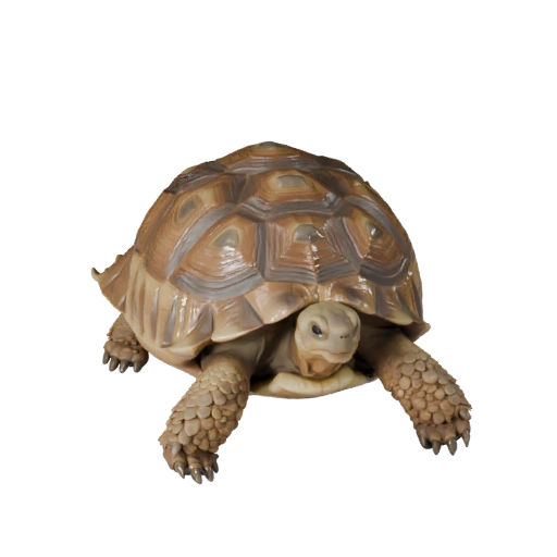 Modèle 3D de Tortue du Désert pour Blender - Asset PBR avec Textures