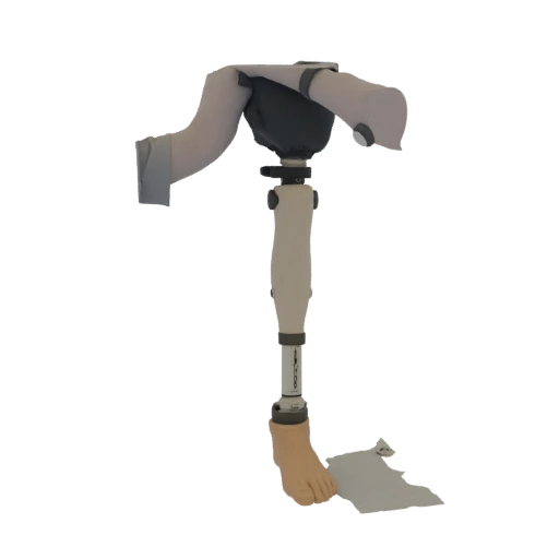 Prosthetic Leg with Foot and Adjustable Components