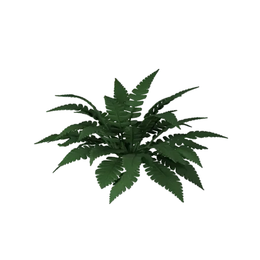 Fern Undergrowth Patch Stylized 3D model, stylized isometric environment render, showing leaf clusters, terrain detail.