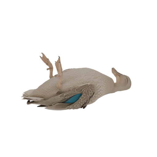 Realistic Duck Decoy 3D Model