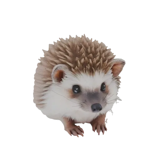 Un modelo 3D realista de un erizo con púas marrones y blancas, ojos oscuros y patas pequeñas, sobre un fondo blanco.