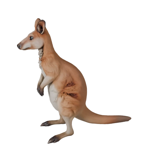 Modelo 3D de Wallaby para Blender - Asset PBR com Texturas | PBR