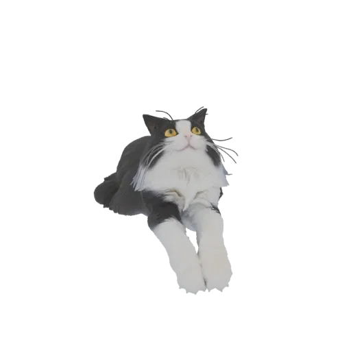 A 3D model of a fluffy tuxedo cat with black and white fur, captured in a playful stretching pose, looking upwards.