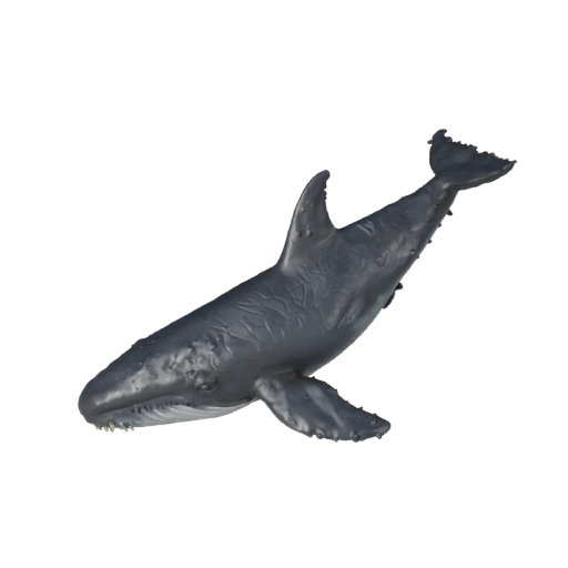 Schwertwal 3D-Modell für Unity - Spielfertiges Asset, FBX | PBR