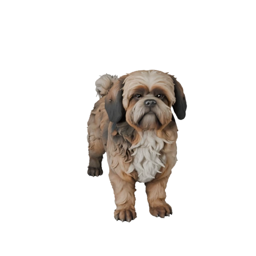 Modello 3D Cane Shih Tzu per Blender - Asset PBR con Texture