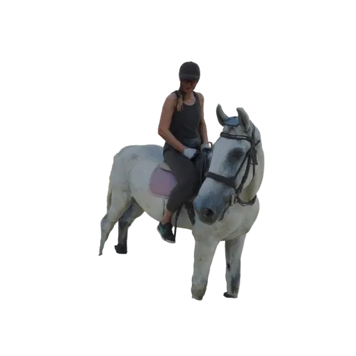 3D model of a woman in a dark tank top and helmet riding a white horse with a pink saddle.