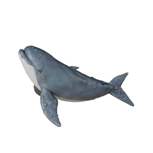 Modello 3D Balena Beluga Cartone Animato - Asset Stilizzato per Animazione
