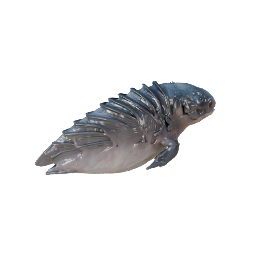 3D модель косатки для Blender - PBR ресурс с текстурами | Бесплатно