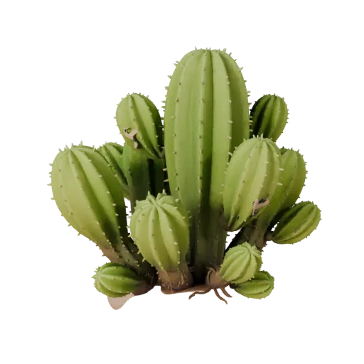 Cactus Desert Cluster Realistic 3D model, three-quarter environment render, showing leaf clusters, terrain detail.