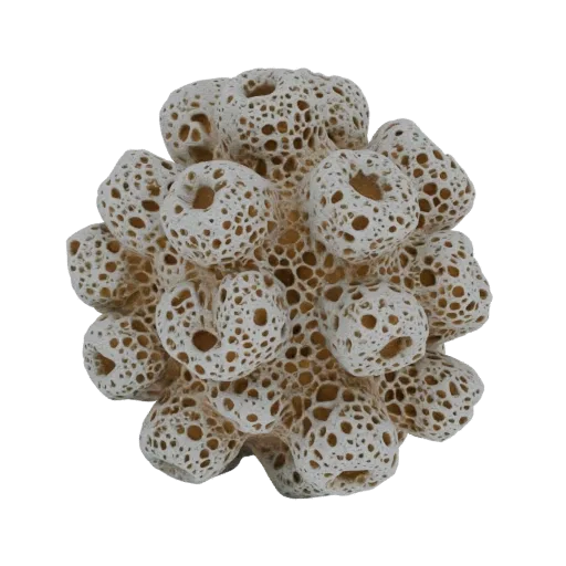 A detailed 3D model of a porous, off-white coral structure with many small holes and organic, branching formations, set again