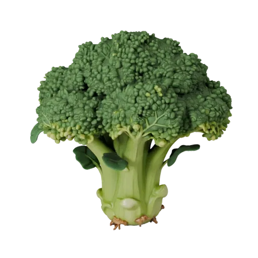 Garden Broccoli Head Printable 3D model, isometric STL render, showing leaf veins, clear vegetable silhouettes.