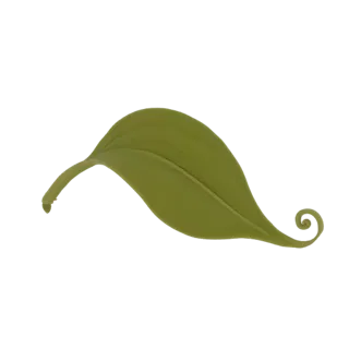 Ein 3D-Render eines stilisierten grünen Blattes mit gebogenem Stiel und einer ausgeprägten Spirale an seiner Spitze, vor weiß