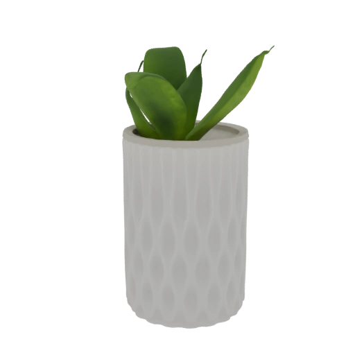 Textured White Ceramic Pot with Succulent
