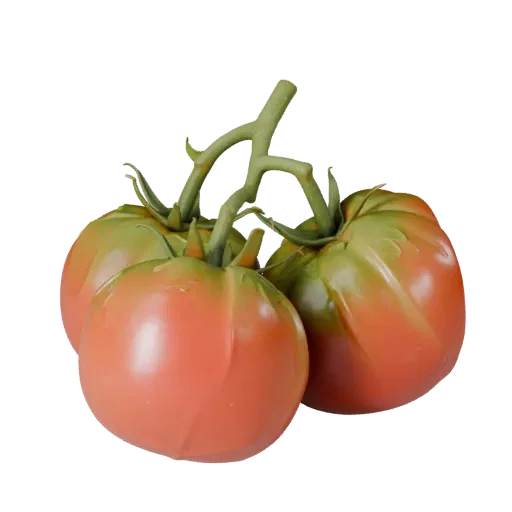 Organic Tomato Cluster Realistic 3D model, three-quarter studio render, showing leaf veins, clear vegetable silhouettes.