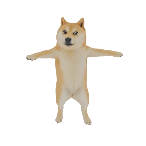 A 3D model of the Doge meme dog standing in a T-pose with its arms outstretched and legs slightly apart.