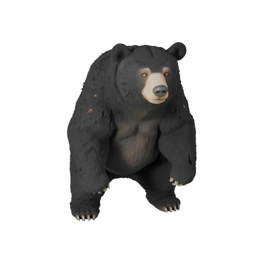 Modelo 3D de Oso Negro para Blender - Asset PBR con Texturas | PBR