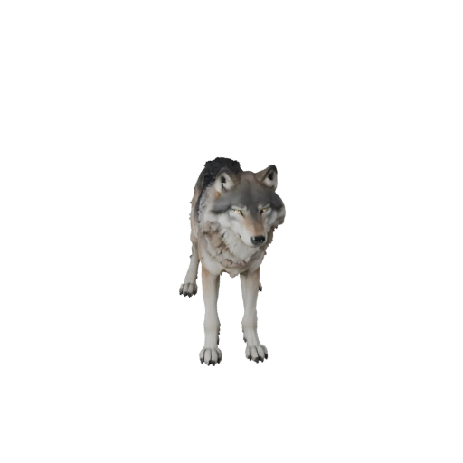 Modello 3D Lupo Artico per Blender - Asset PBR con Texture