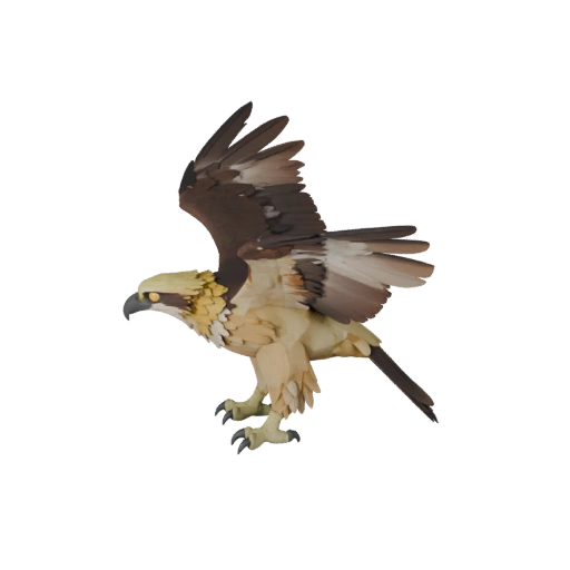نموذج Osprey ثلاثي الأبعاد عالي الدقة - أصل STL مفصل للطباعة