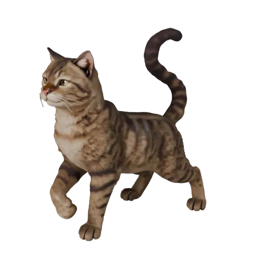 Realistic Cat 3D model, side-view wildlife render, animation-ready animal asset with whisker pads, shoulder glide, tail arc, and feline paw reads; alert