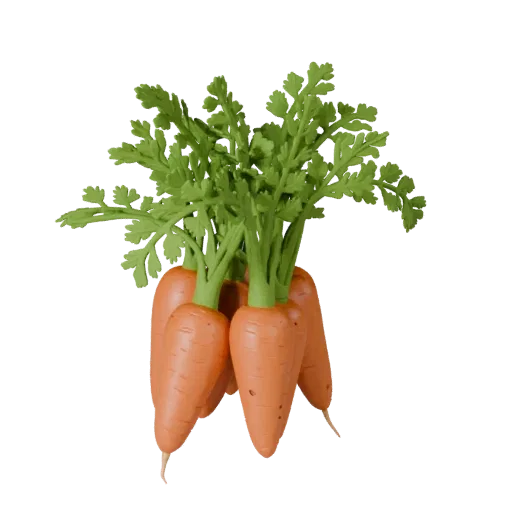 Chopped Carrot Bunch Printable 3D model, isometric STL render, showing leaf veins, clear vegetable silhouettes.