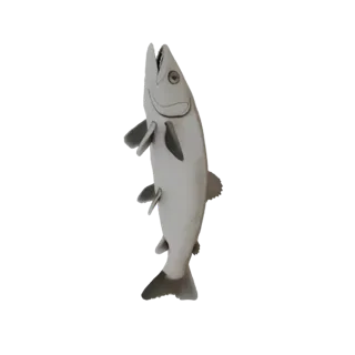 3D-Modell Barsch (Wolga-Zander) mit abgerundetem Schwanz, auf dem Bauch stehend, Seitenansicht
