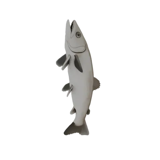 3D model of a zander (Volga pike-perch) with a rounded tail, resting on its belly, side view