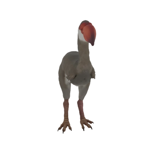 Stylized Terror Bird 3D Model