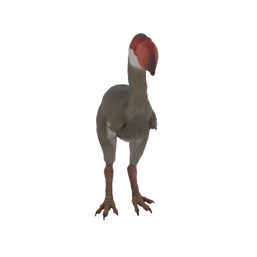 3D model of a stylized Terror Bird with a large red and white beak, grey body, and scaly legs, standing on a white background