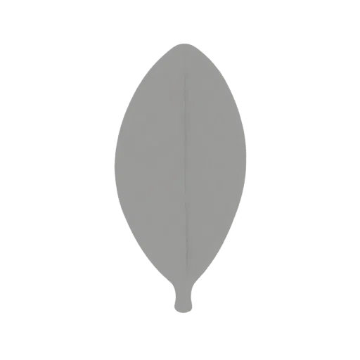 Un modèle 3D d'une seule feuille grise lisse avec une nervure centrale proéminente, présenté sur fond blanc.