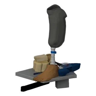 Modèle 3D d'une prothèse de jambe avec un pied réaliste et des pièces d'étude anatomique beiges sur une plateforme grise, ave
