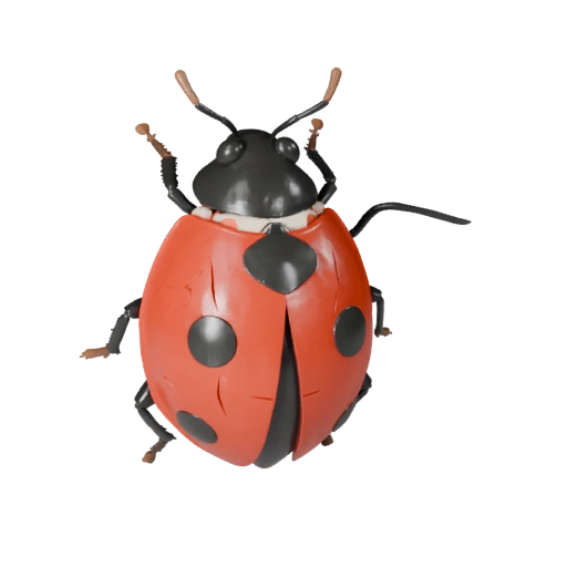 Marienkäfer 3D Modell für Blender - PBR Asset mit Texturen | PBR