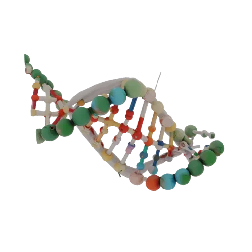 Organic DNA Helix Education 3D model, three-quarter training render, showing colored spheres, molecule layout.