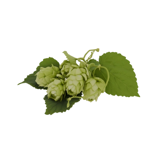 Green Hops Cluster 3D Model
