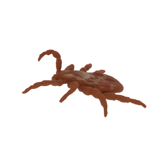 Scorpion Tick 3D Model