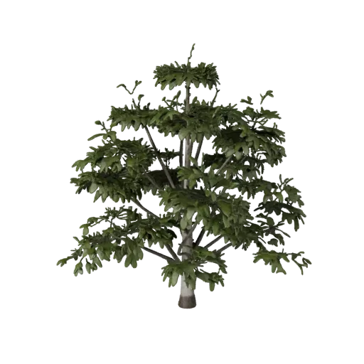 Birch Grove Set Unreal Engine 3D model, top-down viewport view, showing leaf clusters, layered vegetation clusters.