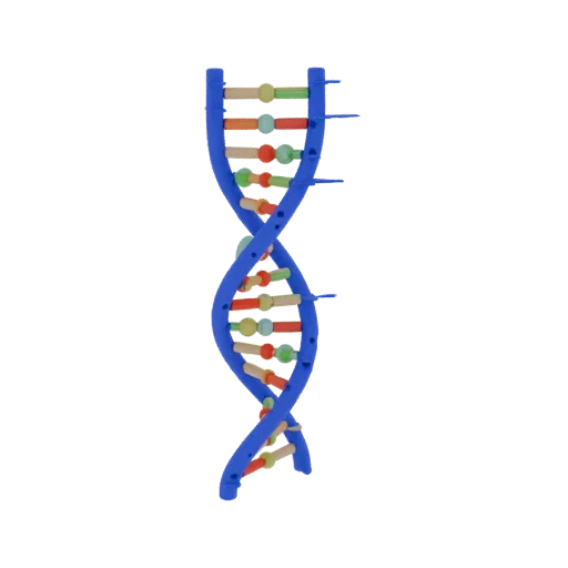 Classroom DNA Helix Printable 3D model, isometric STL render, showing colored spheres, molecule layout.
