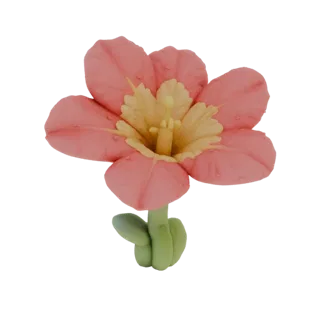 Modelo 3D de flor de datura rosa com gotas de orvalho, com centro amarelo vibrante e caule verde.