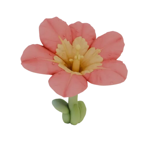 3D model of a pink datura flower with dewdrops, featuring a bright yellow center and green stem.
