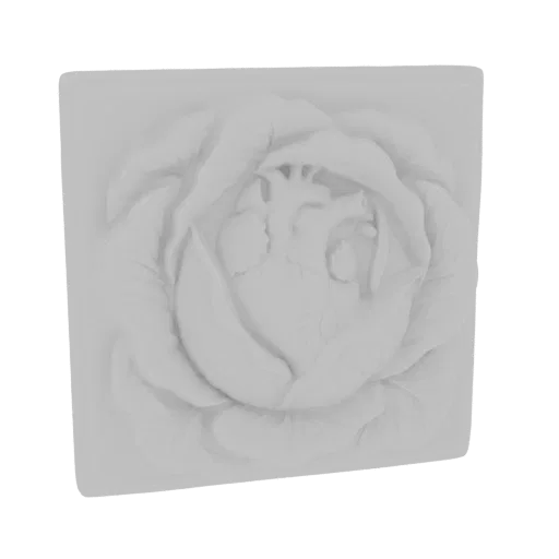 3D model of a realistic anatomical heart nestled within the soft, unfolding petals of a rose, rendered in a monochromatic sty