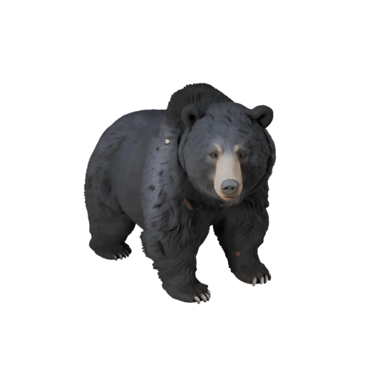 Modelo 3D de Oso Negro para Unity - Asset Listo para Juego, FBX | Libre de Regalías