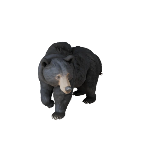 Modelo 3D Realista de Oso Negro - Activo PBR Riggeado para Juegos