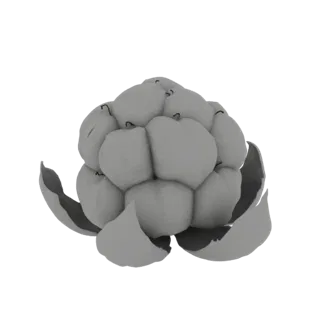 A detailed 3D model of a cluster of ripe cloudberries, showing their segmented, translucent appearance with delicate outer le
