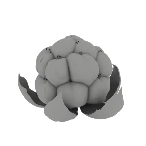 A detailed 3D model of a cluster of ripe cloudberries, showing their segmented, translucent appearance with delicate outer le