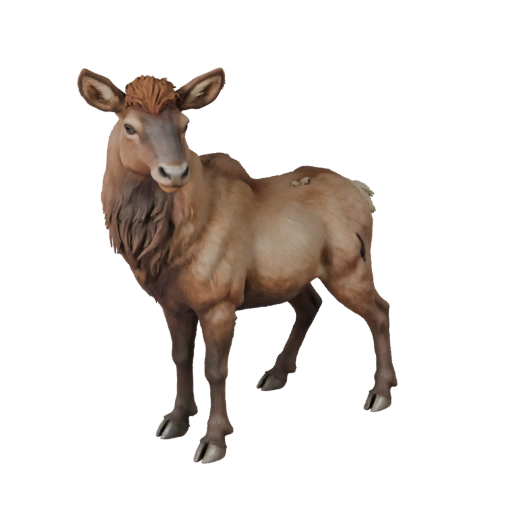 نموذج ثلاثي الأبعاد لحيوان Elk لـ Unity - أصل جاهز للعبة، FBX | مجاني