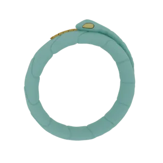 Modelo 3D de uma serpente Ouroboros verde-água formando um círculo perfeito, com detalhes dourados na cabeça e na espinha dor