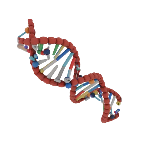 Modelo 3D realista Hélice ADN Aula, render de estudio a tres cuartos, mostrando esferas de colores, disposición molecular.
